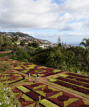 terceira
