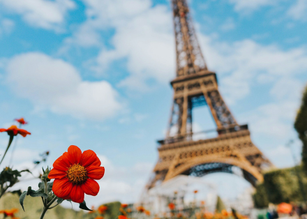 paris